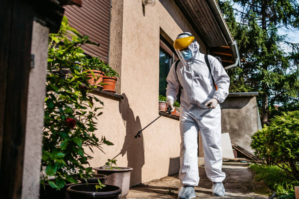 Professional Pest Control in Newberg, OR